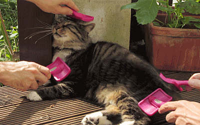 tumblr_n7sc5ky1Nk1s6zt76o1_400.gif