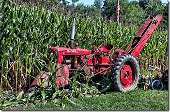 National Pike Antique Tractor show 8