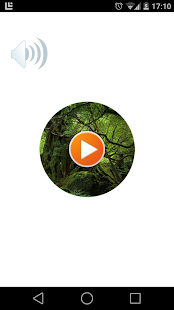 How to get Jungle Sound 1.0 mod apk for laptop