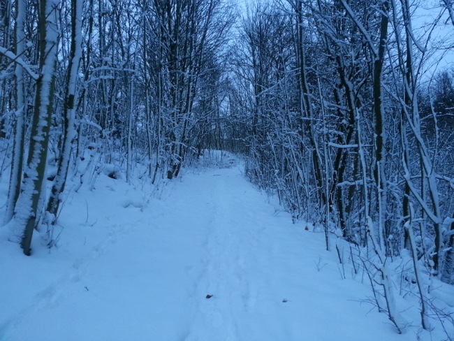 Sne på Volden, 10. december 2012 - fra Anders' tur hjem