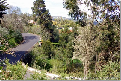 5458 La Laguna-Vueltas Acero-Firgas 5458 La Laguna-Vueltas Acero-Firgas