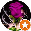 Image Google de Isabelle Vignault