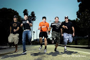 Zebrahead