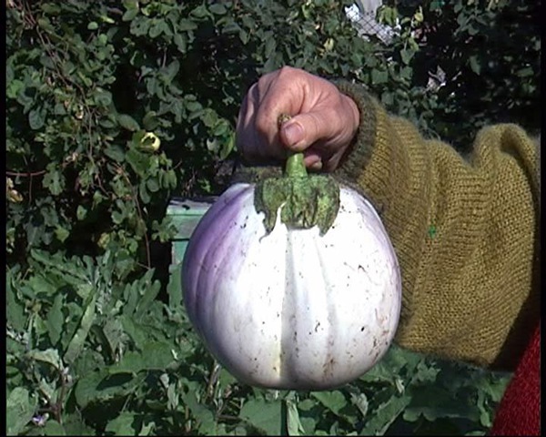 [KGrHqUOKicE2L4k74CBNlmPysF6_33.jpg]