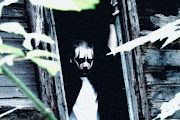 Boondox