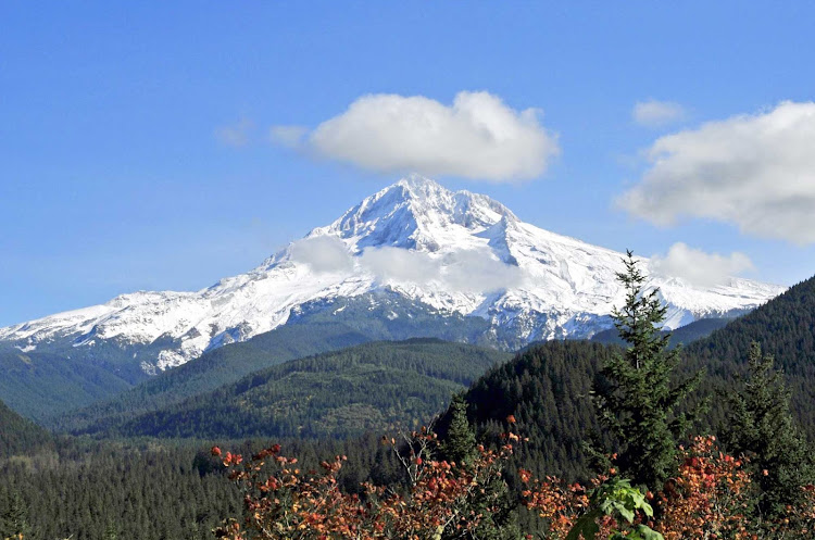 Majestic Mt. Hood rises about 50 miles outside of Portland, Oregon. 