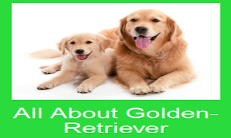 Captura de pantalla de All About Golden-Retriever APK #6