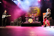 Winery Dogs