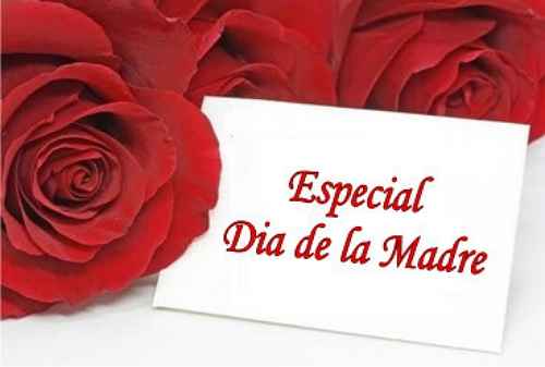 Dia especial: Dia de las madres