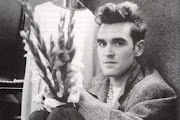 Morrisey