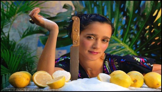 Julieta Venegas - Limón y sal