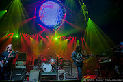 Gov't Mule