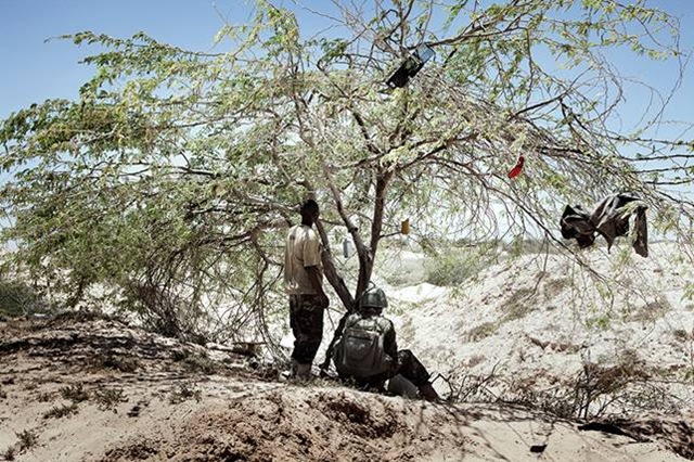 [clip_image0443.jpg]