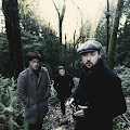 Augustines