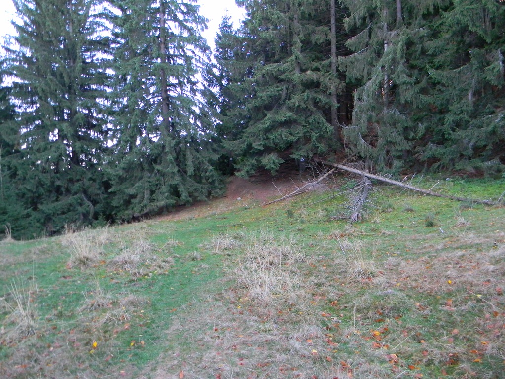[DSCN91493.jpg]