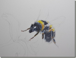 bee 2 bee 2