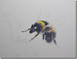 bee 2