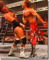 Hell in a Cell HHH Vs HBK