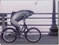 a_fish_needs_a_bicycle