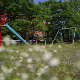 005.jpg