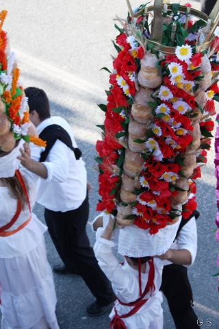 [IMG_7004%255B11%255D.jpg]