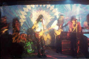 Magic Mushroom Band