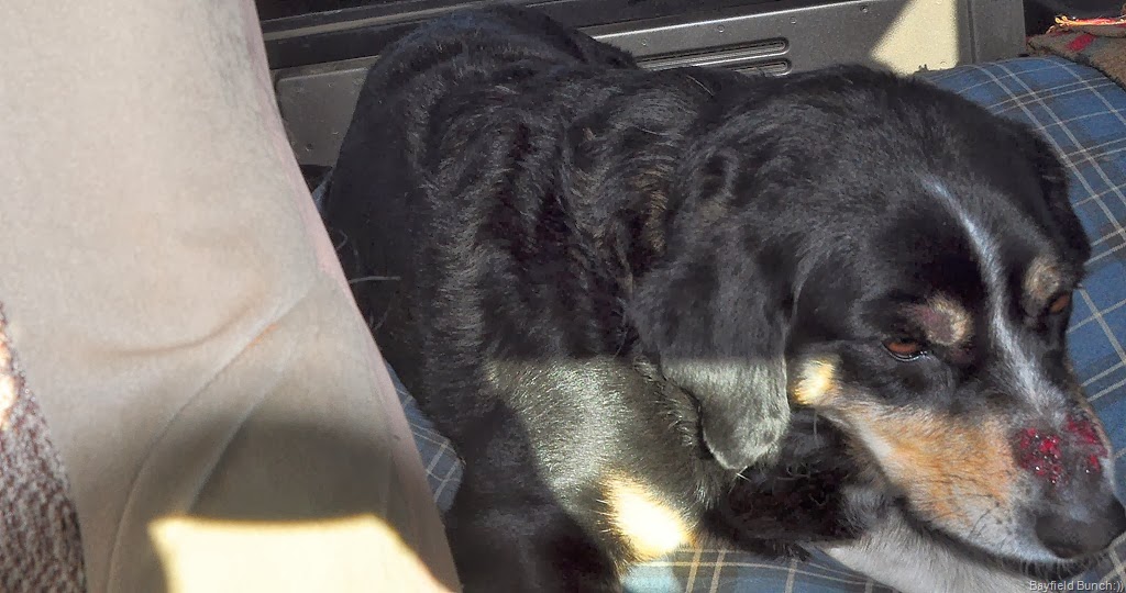 [DSC_0001%255B4%255D.jpg]