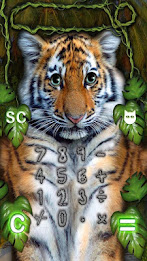 Kitten Calculator poster 2