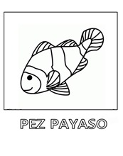 pez-payaso 5 1