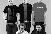 New Found Glory