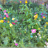 Blumen am Weiherturm