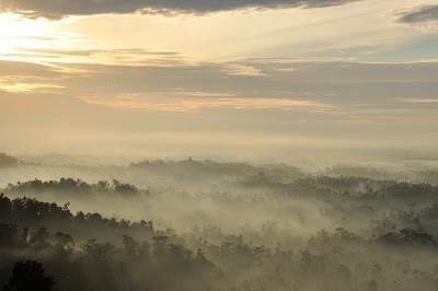 DSC_0104.jpg
