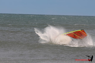 20150221Rouet076.JPG