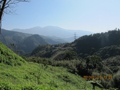 IMG_7529