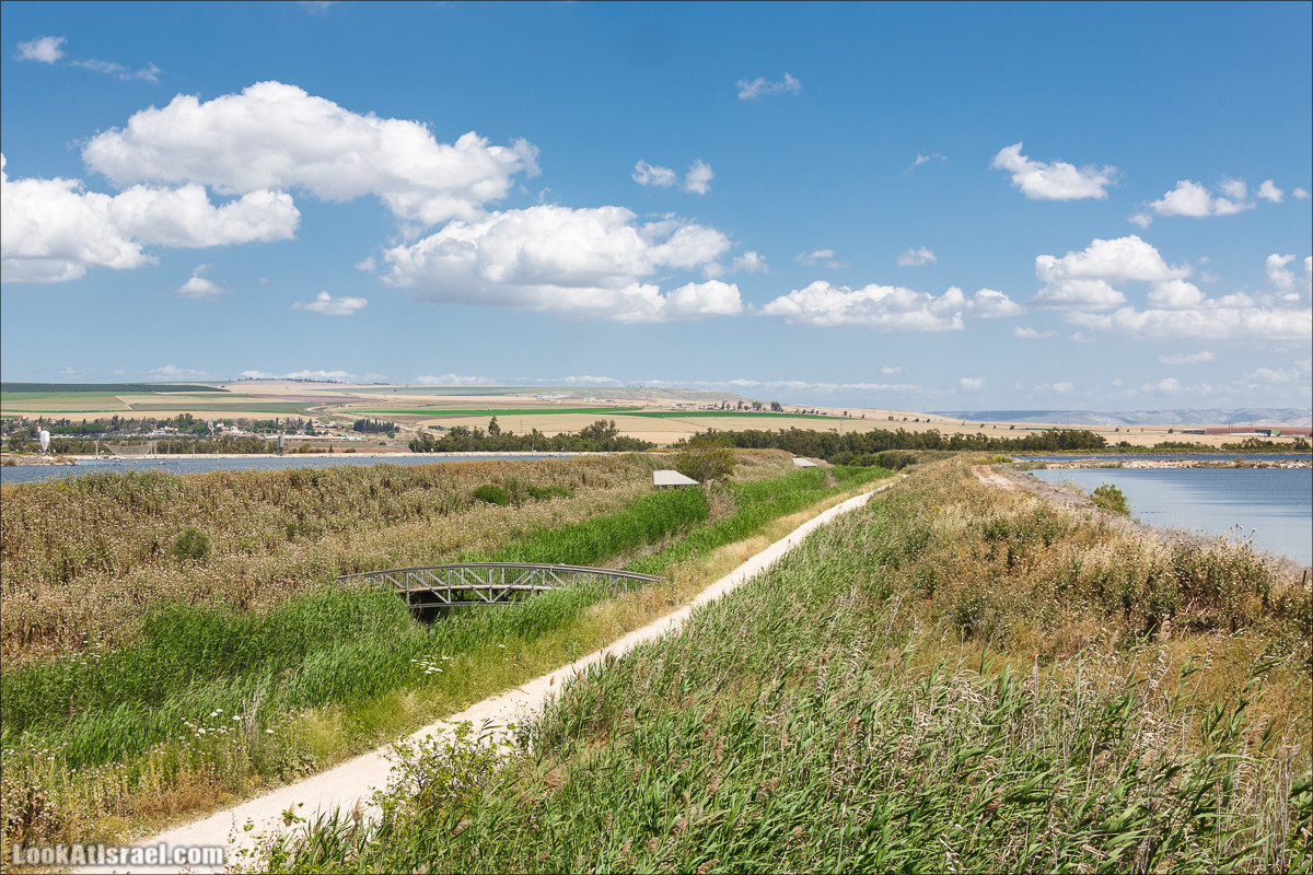 Песах в Долине Родников | Passover in Springs Valley| פסח בעמק המעיינות | LookAtIsrael.com - Фото путешествия по Израилю