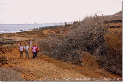 2837 Cardones-La Punta 2837 Cardones-La Punta