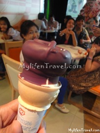 Bangkok Ice Cream 20