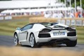 2013-GoodWood-FoS-442