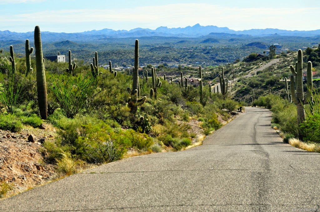 [DSC_0001%255B3%255D.jpg]