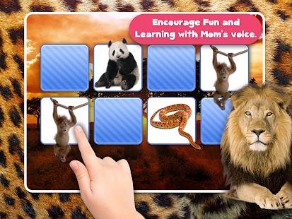 Memory Wildlife Photo For Kids Screenshots 3