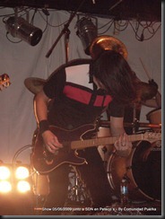 Peteco´s  SDN 5-6 (78)