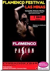 flamenco pasion