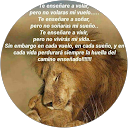 Lourdes Chacon Lourdes Chacon