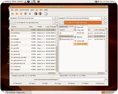 GNOME Commander, un ottimo file manager a due pannelli per GNOME