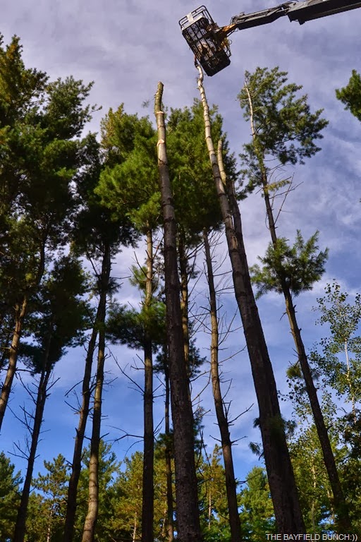 [DSC_0023%255B3%255D.jpg]