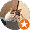 Image Google de Noemi Robert