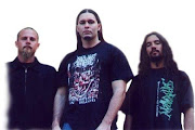 Disgorge