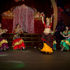 IMG_9229.jpg
