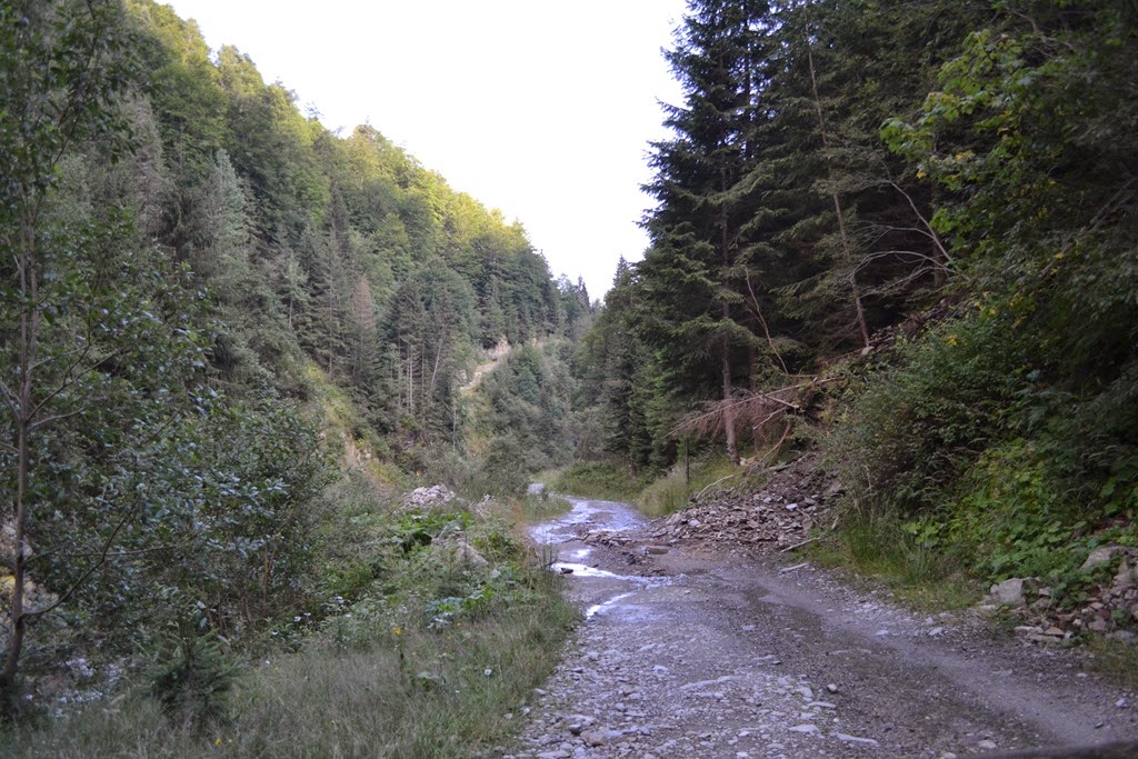 [DSC_55243.jpg]