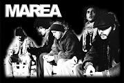 Marea